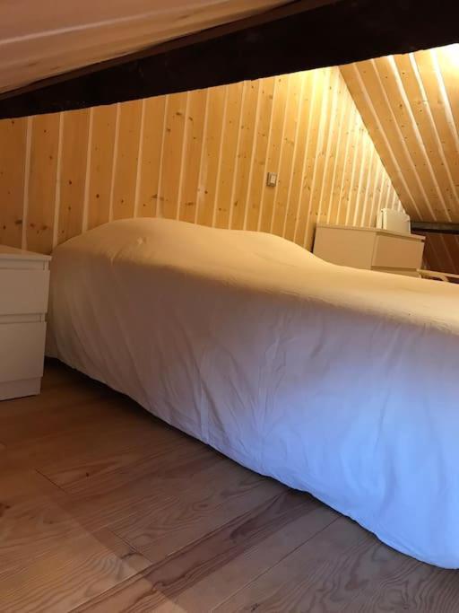 Studio 30M2 Centre De Cusset Eksteriør bilde