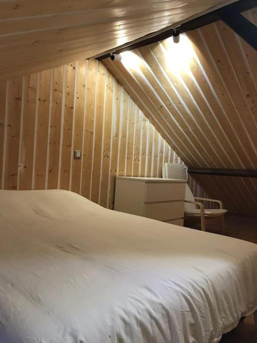 Studio 30M2 Centre De Cusset Eksteriør bilde